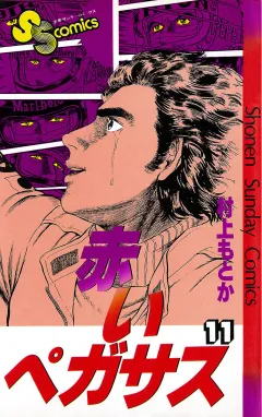赤いペガサス 11