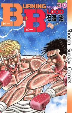 B・B 30