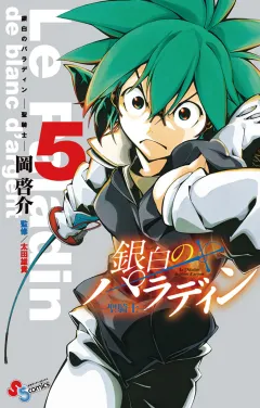 銀白のパラディン -聖騎士- ５
