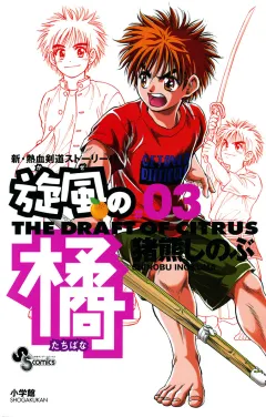 旋風（かぜ）の橘 3