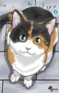 ねこったけ！ ２