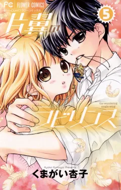 片翼のラビリンス ５