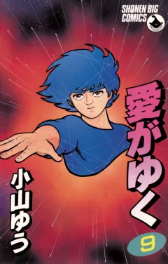愛がゆく 9