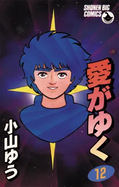 愛がゆく 12