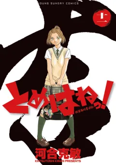 とめはねっ！　鈴里高校書道部 １１
