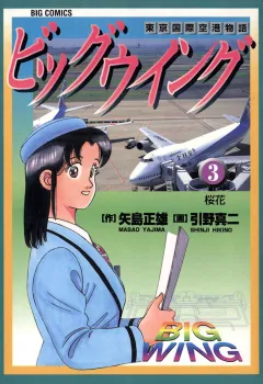 ビッグウイング 3