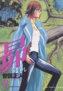 昴 11