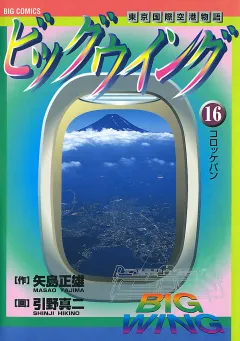 ビッグウイング 16