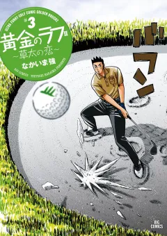 黄金のラフ2〜草太の恋〜 ３