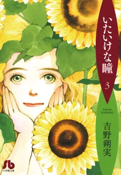 いたいけな瞳〔文庫〕 3