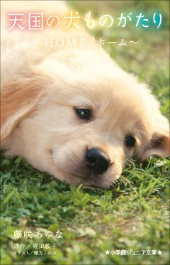 小学館ジュニア文庫　天国の犬ものがたり〜ＨＯＭＥ　ホーム〜