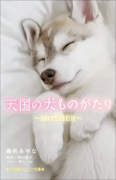小学館ジュニア文庫　天国の犬ものがたり〜ＭＯＴＨＥＲ〜