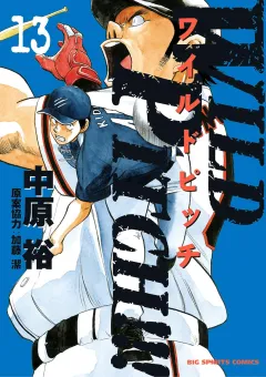 WILD PITCH!!! 13