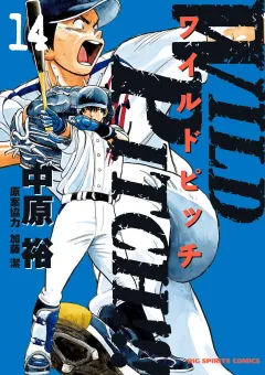 WILD PITCH!!! 14