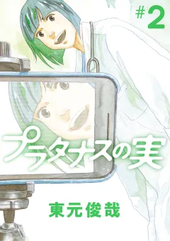 プラタナスの実 2