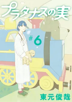 プラタナスの実 6