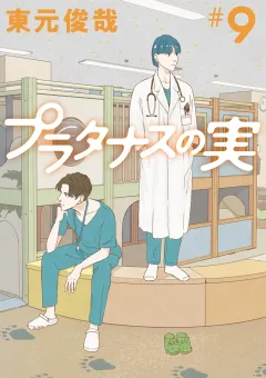 プラタナスの実 9