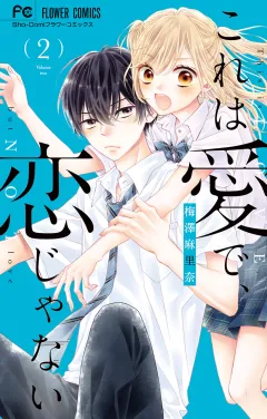 これは愛で、恋じゃない 2
