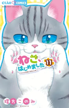 ねこ、はじめました 11