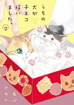 うちの犬が子ネコ拾いました。 7