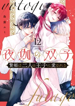 夜伽の双子―贄姫は二人の王子に愛される― 12