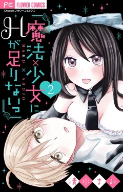 魔法×少女にHが足りないっ【マイクロ】 2