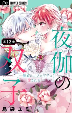 夜伽の双子―贄姫は二人の王子に愛される―【マイクロ】 12