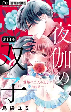 夜伽の双子―贄姫は二人の王子に愛される―【マイクロ】 13