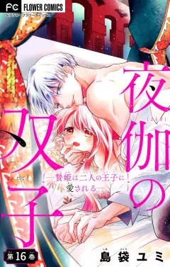 夜伽の双子―贄姫は二人の王子に愛される―【マイクロ】 16