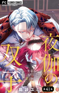夜伽の双子―贄姫は二人の王子に愛される―【マイクロ】 41