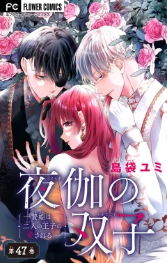 夜伽の双子―贄姫は二人の王子に愛される―【マイクロ】 47