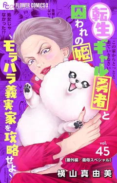 転生ギャル勇者と囚われの姫〜モラハラ義実家を攻略せよ〜【番外編/義母スペシャル】【マイクロ】 45