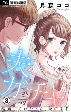 夫ガチャ〜結婚してわかった、夫の本性〜【マイクロ】 3