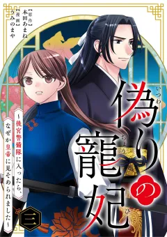 偽りの寵妃〜後宮警備隊に入ったら、なぜか皇帝に見そめられました〜 3