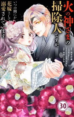 火の神さまの掃除人ですが、いつの間にか花嫁として溺愛されています【単話】 30