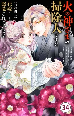 火の神さまの掃除人ですが、いつの間にか花嫁として溺愛されています【単話】 34