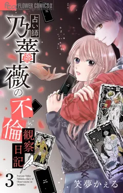 占い師 乃薔薇の不倫観察日記【マイクロ】 3