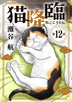猫降臨【単話】 12