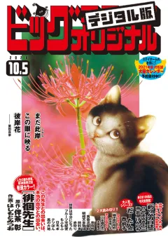 ビッグコミックオリジナル 2020年19号（2020年9月19日発売)